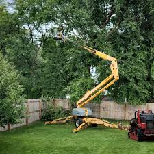 Best Emergency Tree Removal  in Lakeside, TX