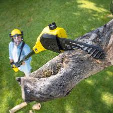 Best Pest Control for Lawns  in Lakeside, TX